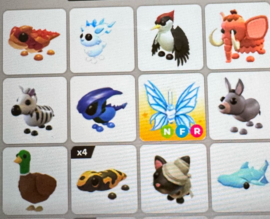 입양하세요 펫팔아요 이미지