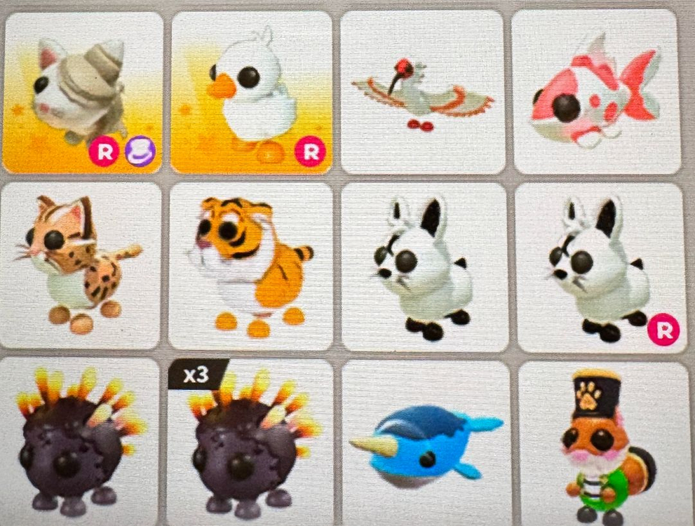 입양하세요 펫팔아요 이미지