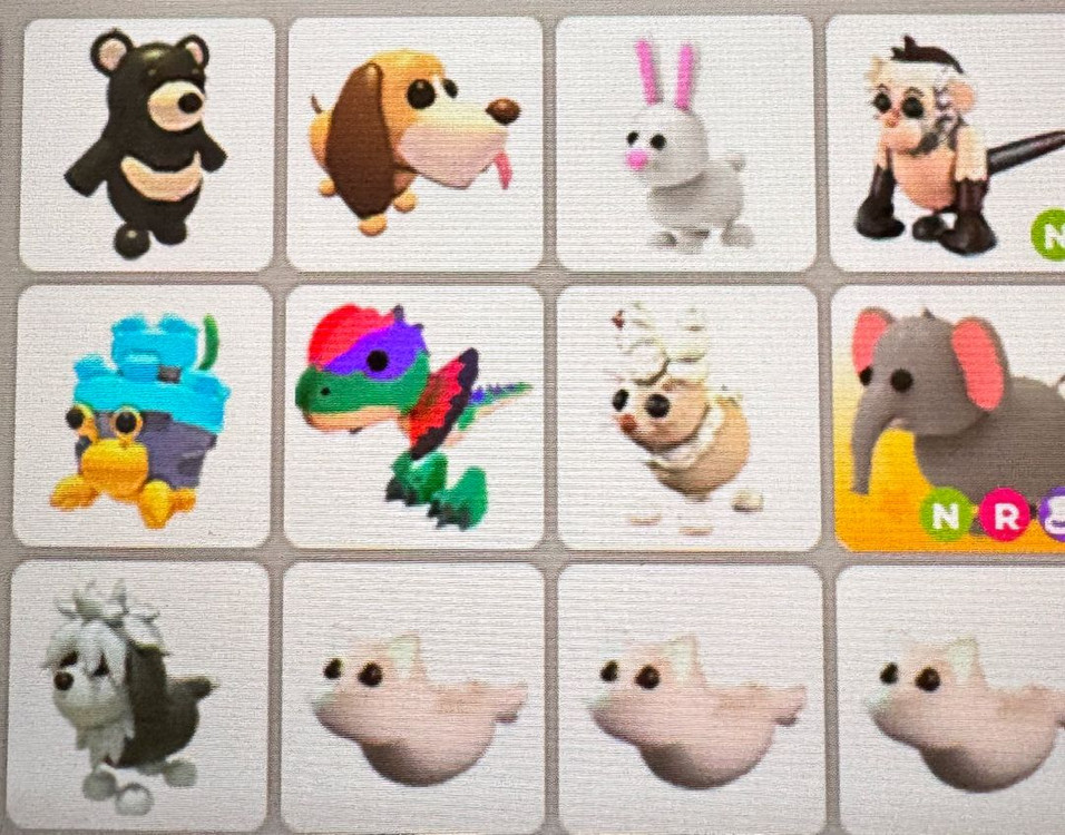 입양하세요 펫팔아요 이미지