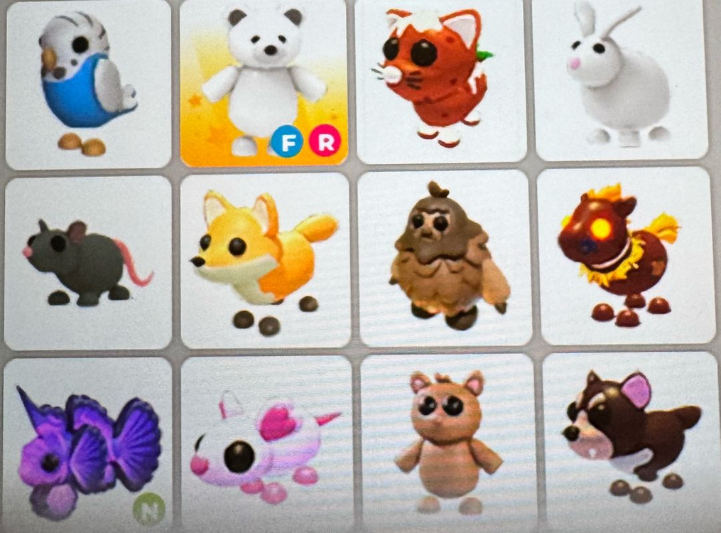 입양하세요 펫팔아요 이미지