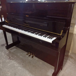 야마하U1 특 이미지