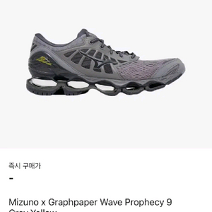 미즈노 웨이브 프로페시9 그라프페이퍼