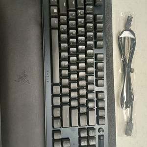 레이저 데스스토커 v2 pro tkl + 손목받침대