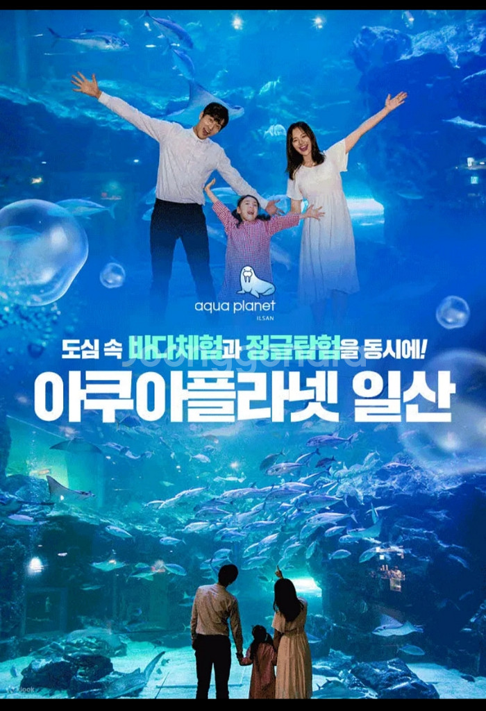 일산 여수 광교 아쿠아플라넷 모바일 입장권--0