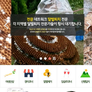 말벌제거