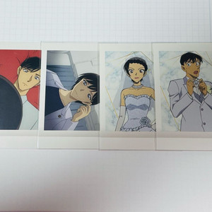 명팀정코난 할로윈의 신부 파샤코레 이미지