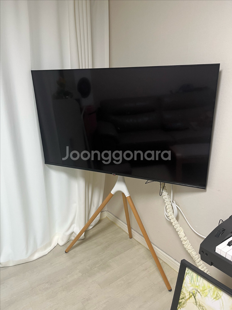 이스트라쿠카55인치TV--0