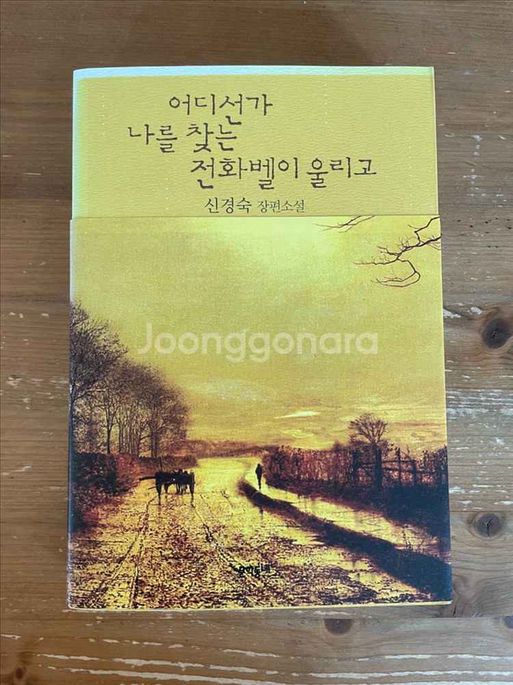 어디선가 나를 찾는 전화벨이 울리고 - 신경숙--0