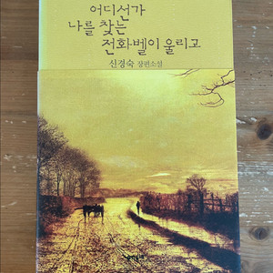 어디선가 나를 찾는 전화벨이 울리고 - 신경숙