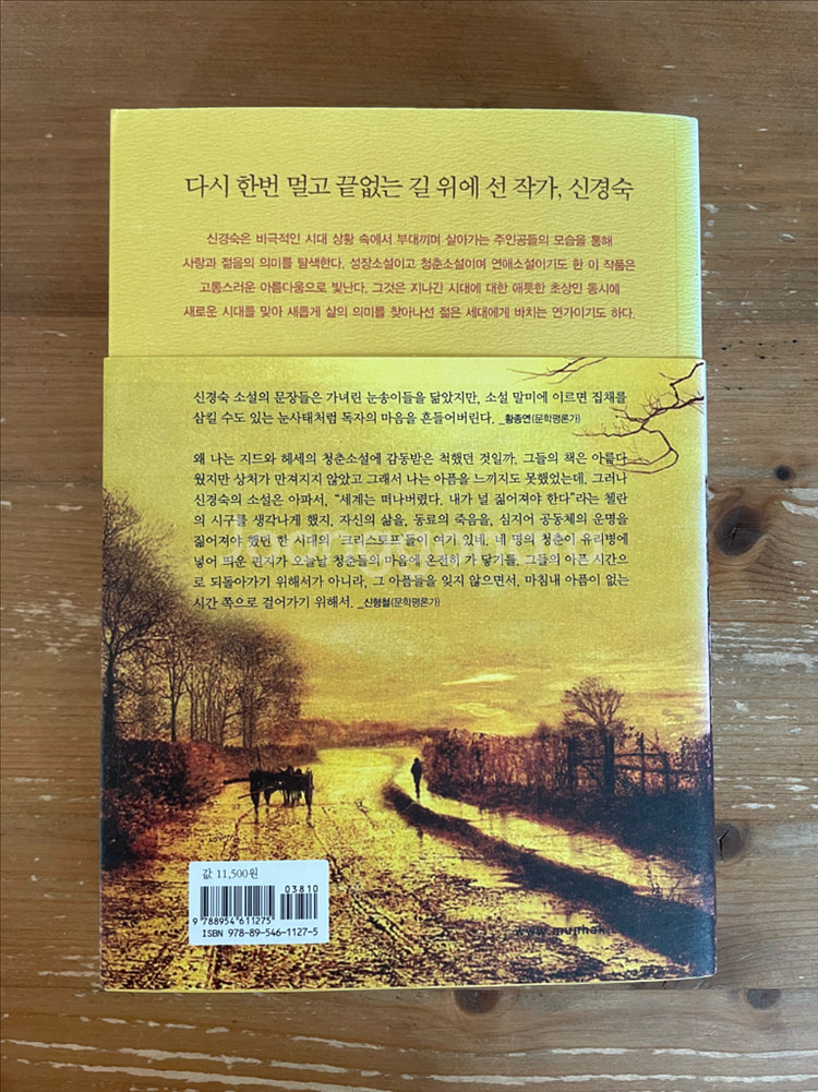 어디선가 나를 찾는 전화벨이 울리고 - 신경숙--1