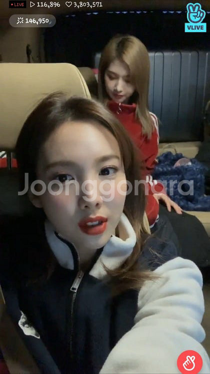 메종키츠네 익스클루시브 후리스 M 판매합니다--3