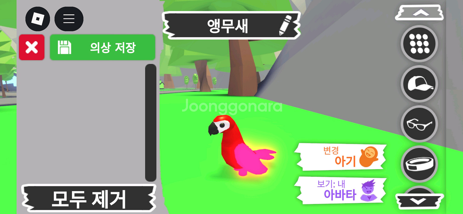 입양하세요 펫 메가 네온 앵무새(매앵) 판매합니다--2