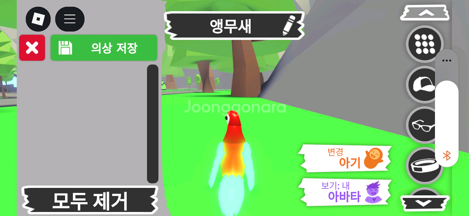 입양하세요 펫 메가 네온 앵무새(매앵) 판매합니다--3