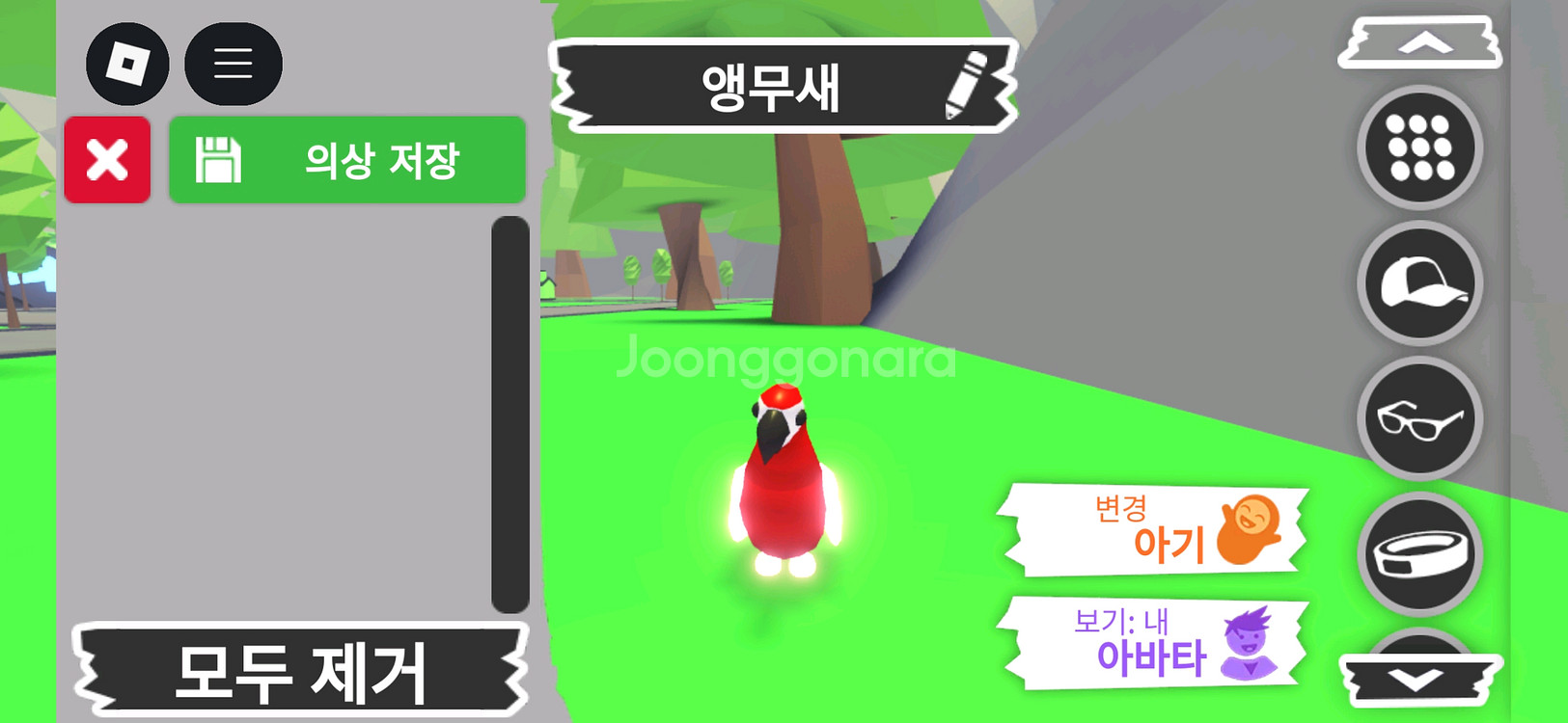 입양하세요 펫 메가 네온 앵무새(매앵) 판매합니다--0