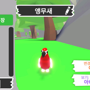 입양하세요 펫 메가 네온 앵무새(매앵) 판매합니다