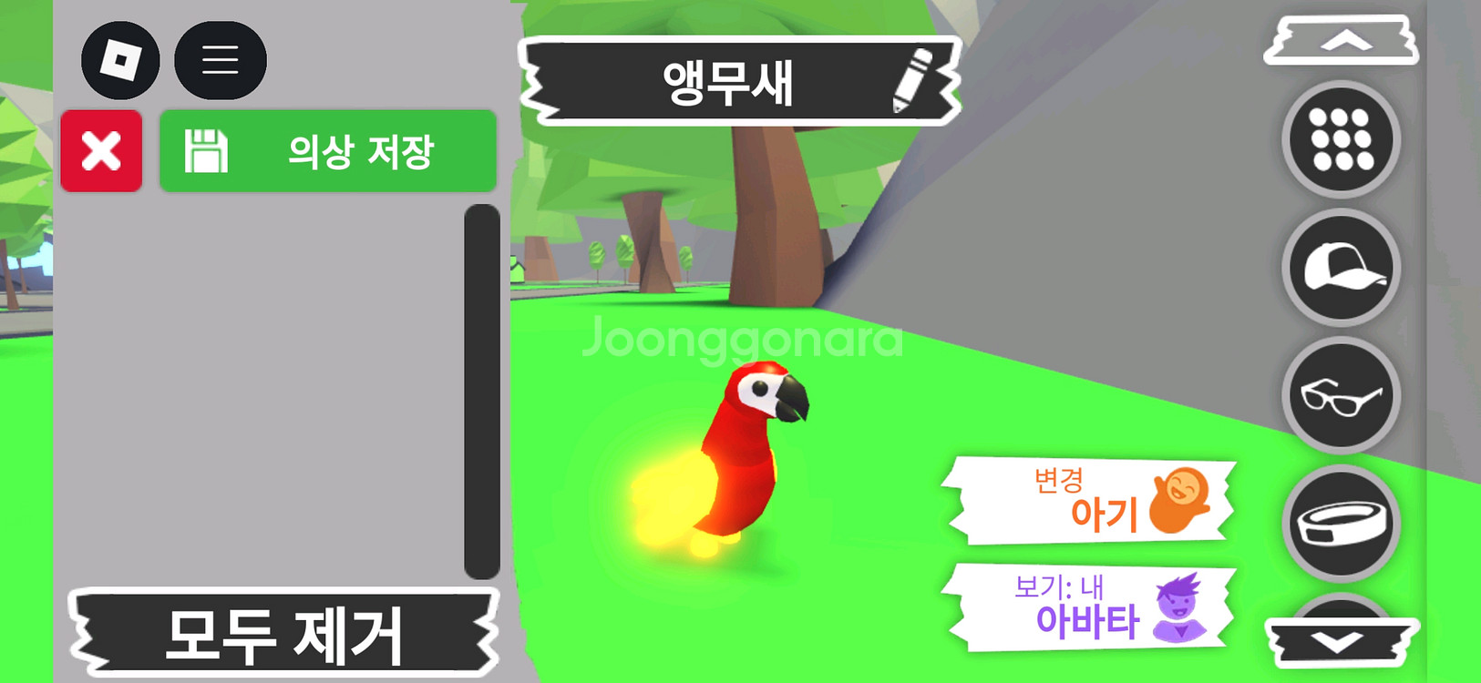 입양하세요 펫 메가 네온 앵무새(매앵) 판매합니다--1