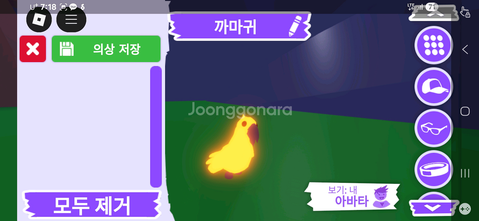 입양하세요 펫 메가 네온 까마귀(메까)판매해요--1