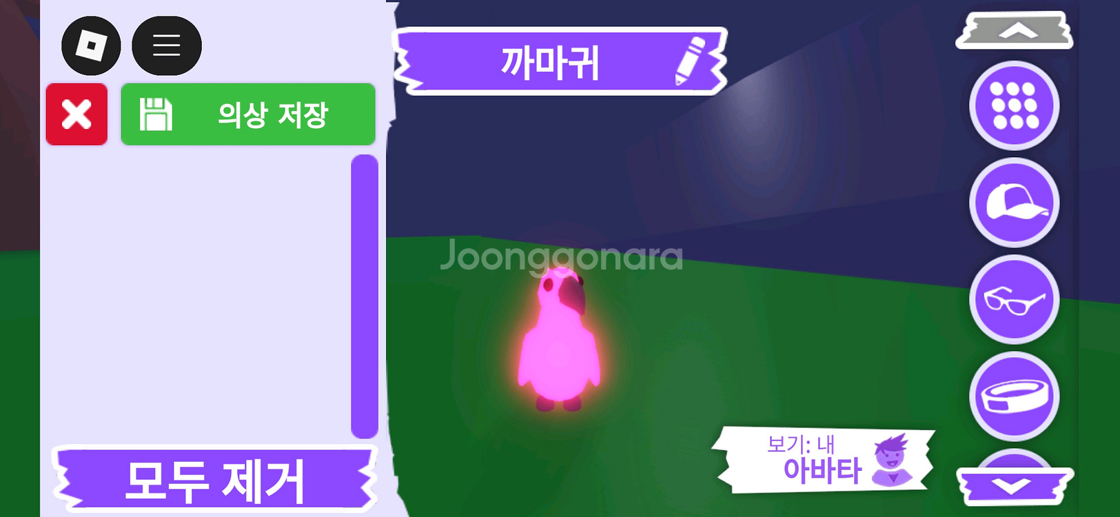 입양하세요 펫 메가 네온 까마귀(메까)판매해요--0