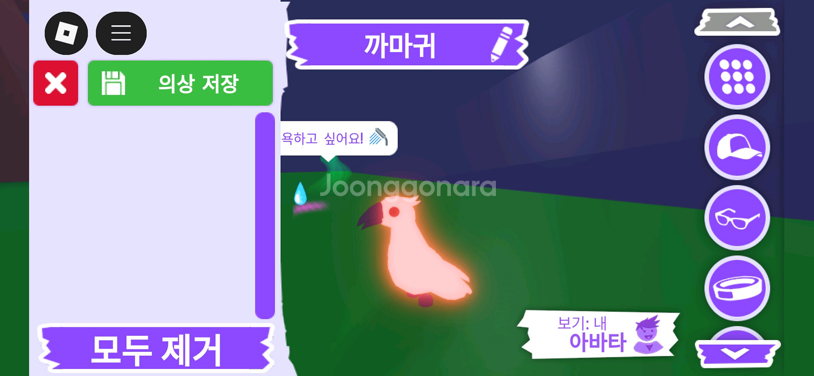 입양하세요 펫 메가 네온 까마귀(메까)판매해요--2