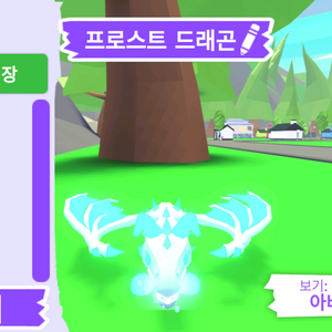 입양하세요 펫 메가네온 프로스트 드래곤(메얼)판매해요