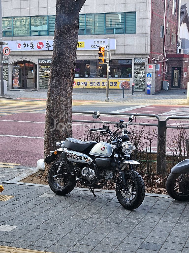 24년식 몽키 블랙 팝니다--1
