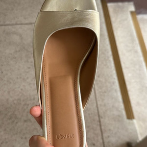 레멜 지나 250
