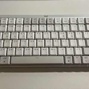 로지텍 mx mechanical for mac 갈축