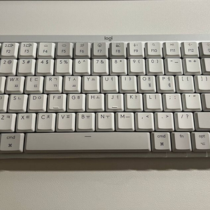 로지텍 mx mechanical for mac 갈축