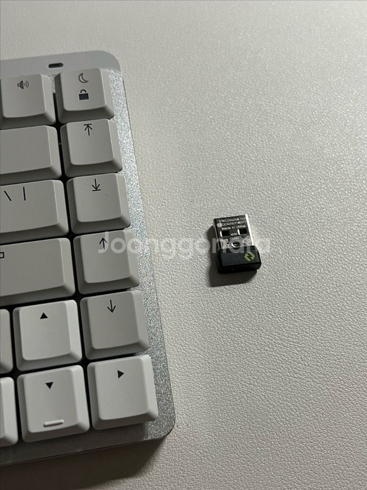 로지텍 mx mechanical for mac 갈축--2