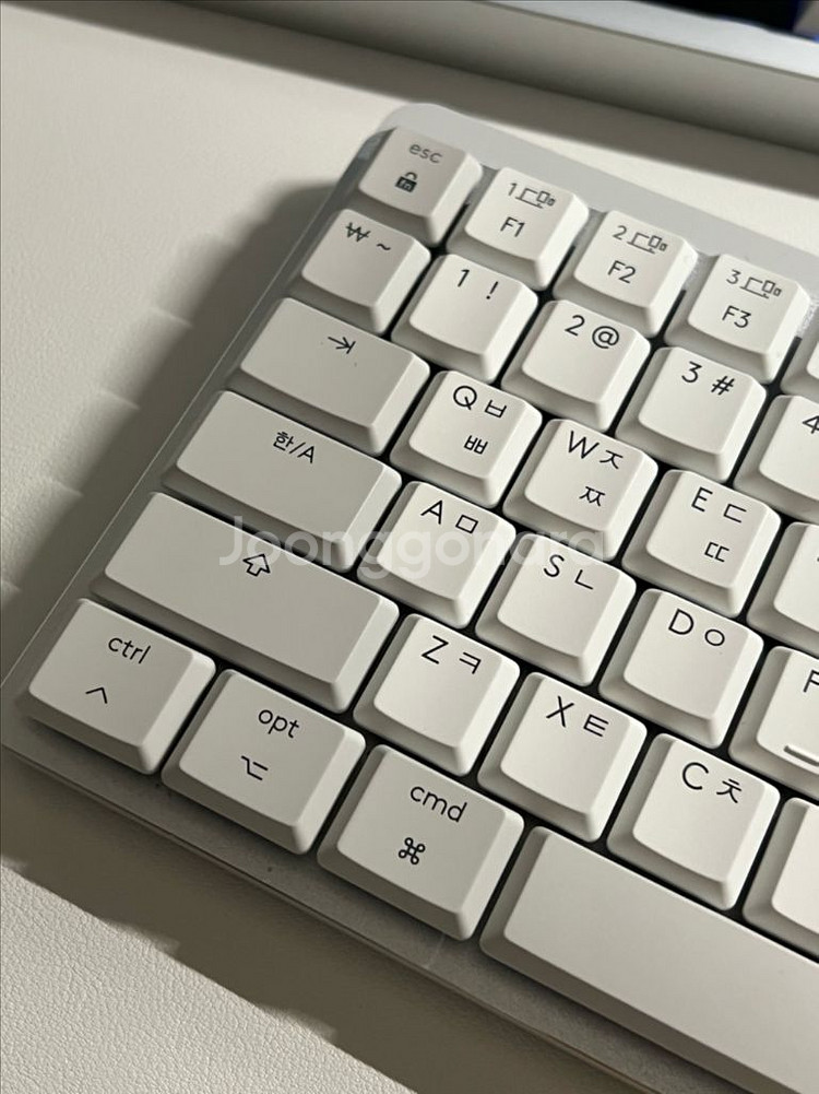 로지텍 mx mechanical for mac 갈축--3