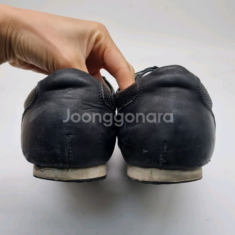 돌체앤가바나 남성스니커즈280--3