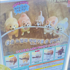 막대기를 문 강아지 가챠 일괄