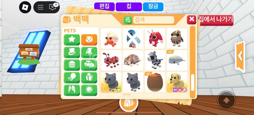입양하새요--3