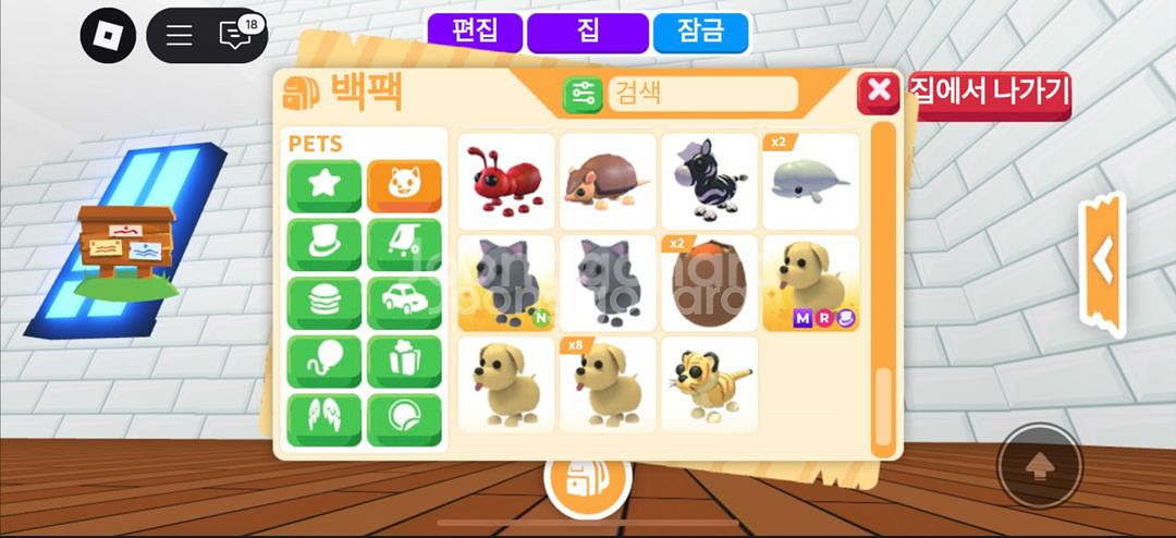 입양하새요--4
