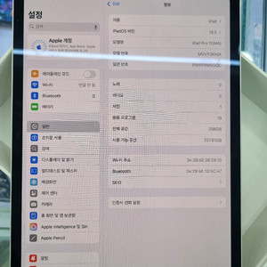 아이패드 프로 11 m4 256