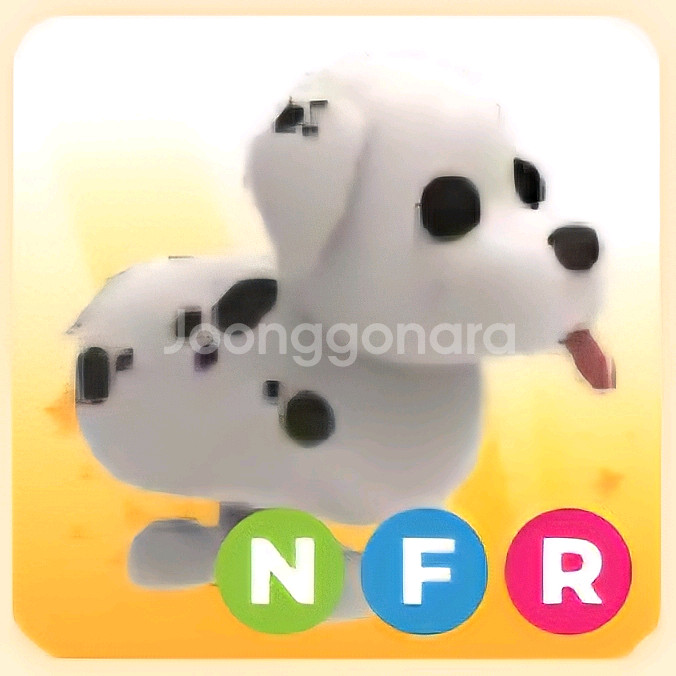 입양하세요 NFR 달마시안 (네산강)--0