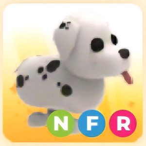 입양하세요 NFR 달마시안 (네산강)