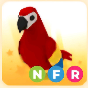 입양하세요 NFR 앵무새 (네앵무)