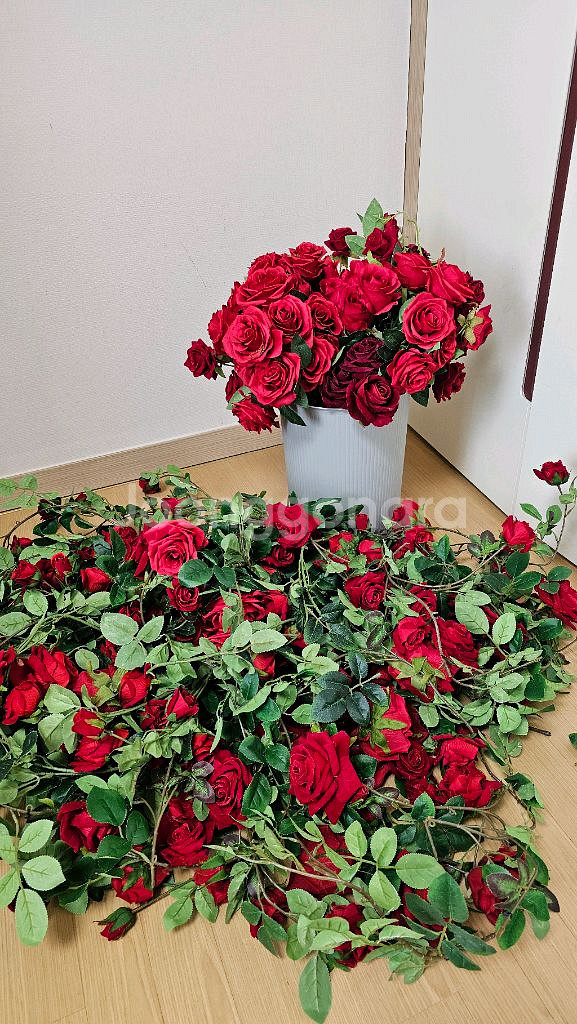 장미조화--0