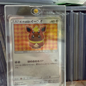 포켓몬카드 판초 이브이카드