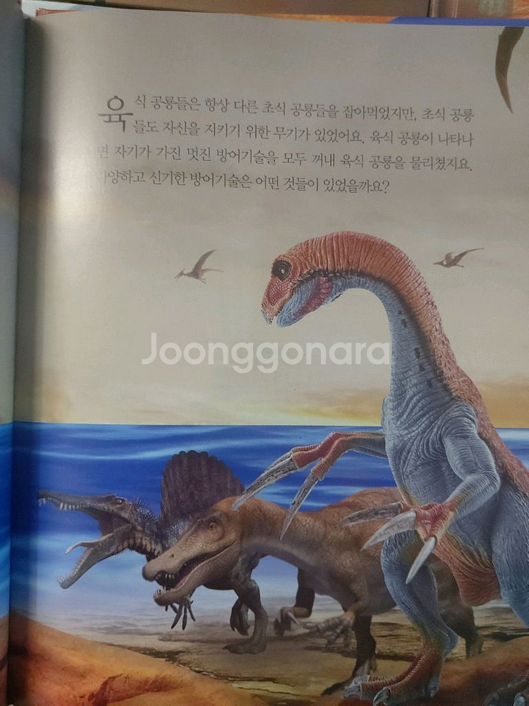 공룡대탐험6권 택비포 30000원--1