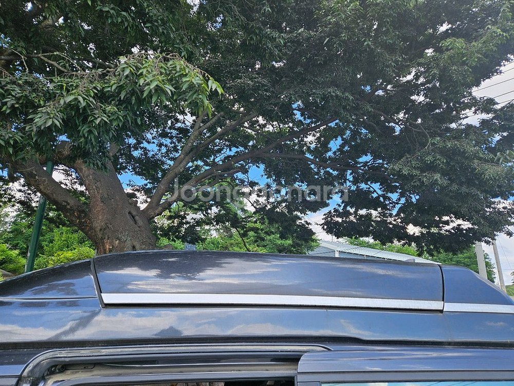 ka4 4세대 카니발 이엑스체인지 루프박스 판테라메탈--4