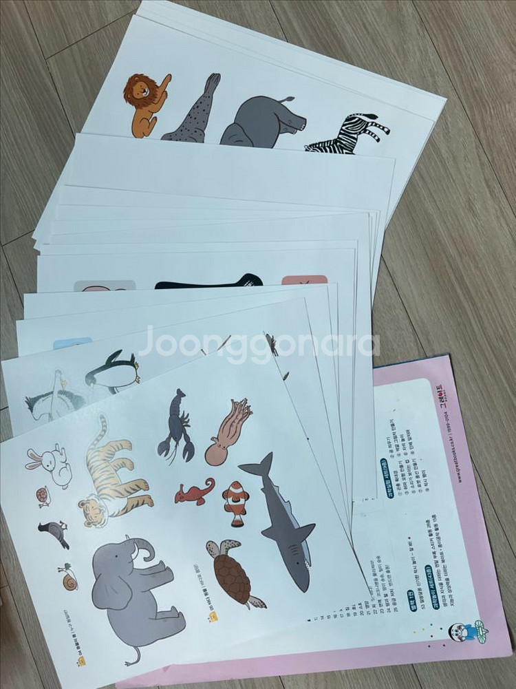 내친구 과학공룡 53권(상태최상/구성품미사용+샘플책)--4