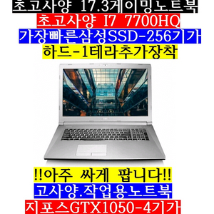 대형17.3/i7 7700HQ/램16/SSD256/1테