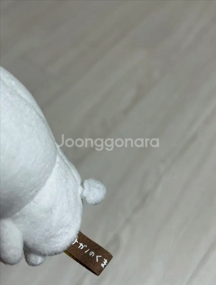 농담곰 눈팅팅 33 인형--3