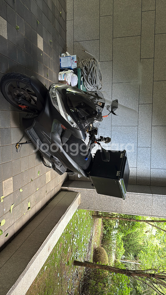 Pcx 125 19년식--0