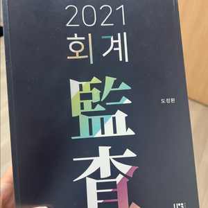 2021 회계감사 도정환