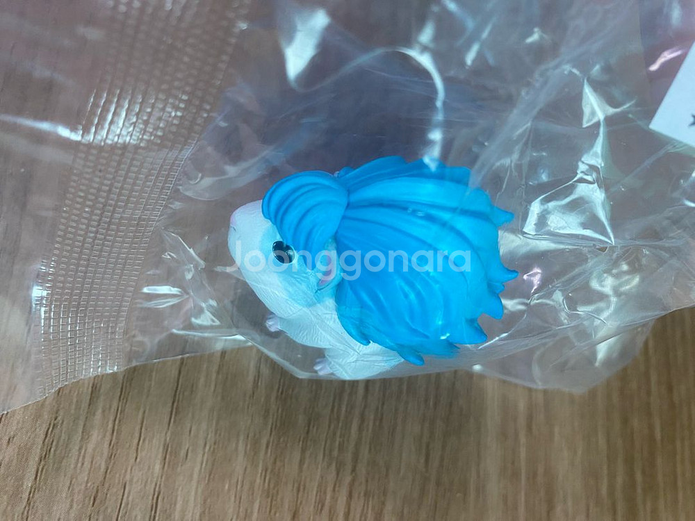 갸루기니 갸루 기니피그 모리모토 가챠 피규어 블루--1