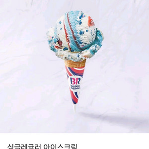 베스킨라빈스 싱글레귤러