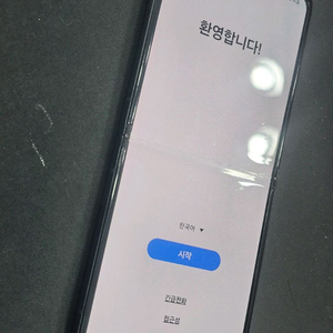 플립3 그린